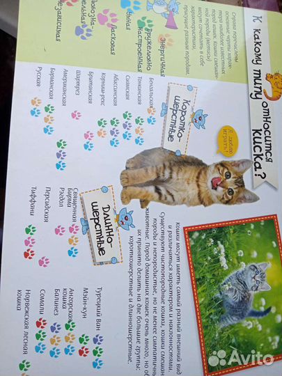 Книга пазл про котят богатое издание