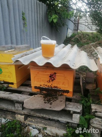 Настоящий, вкусный мёд