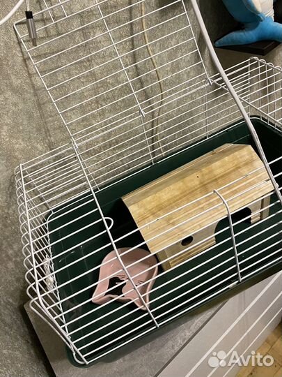 Клетка для грызунов