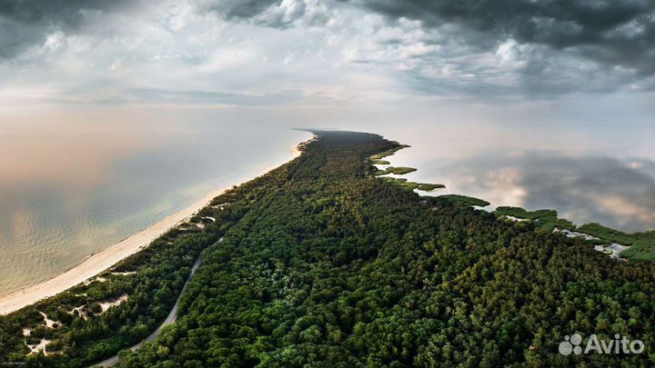 Экскурсия Куршская коса,замок Шаакен,Янтарный,Балт