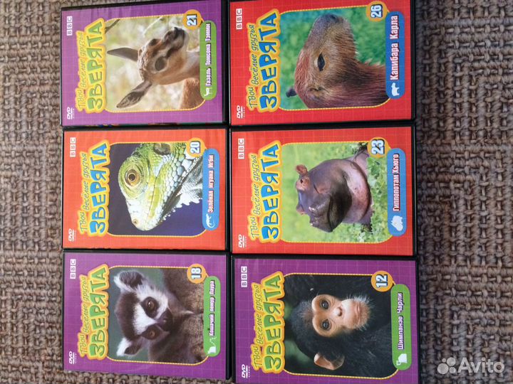 Мультики, сказки, фильмы про животных ввс