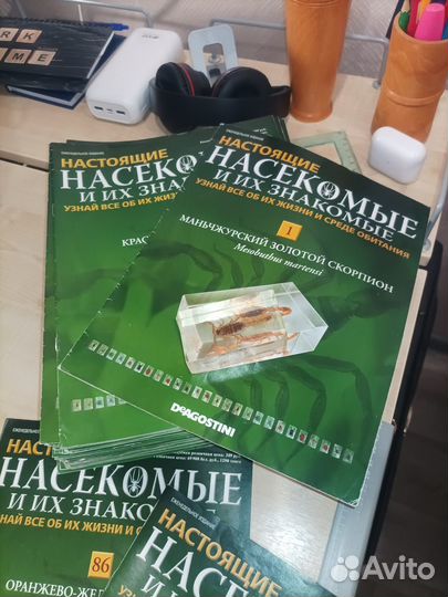 Полная коллекция Насекомые и их знакомые