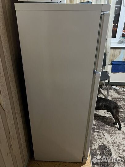 Двухкамерный Холодильник