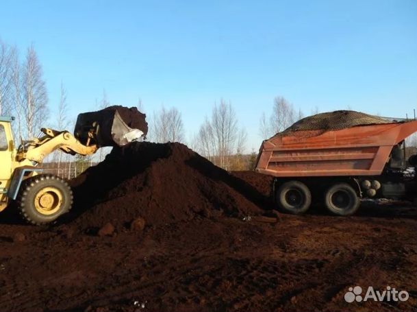 Торф низинный