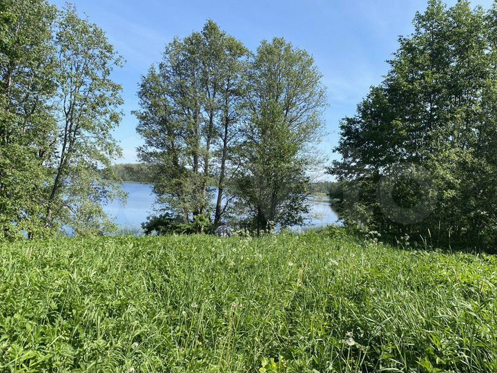 Участок 8 сот. (ИЖС)