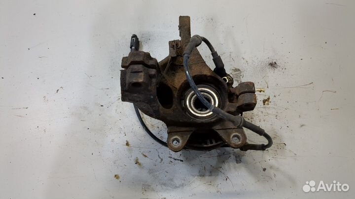 Ступица (кулак, цапфа) Ford Ka, 2000