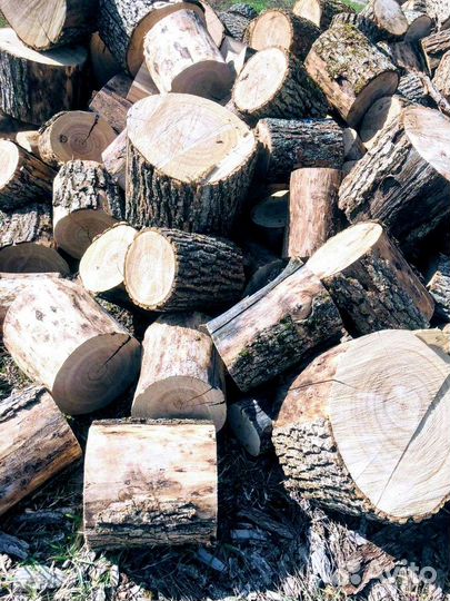 Дрова дубовые