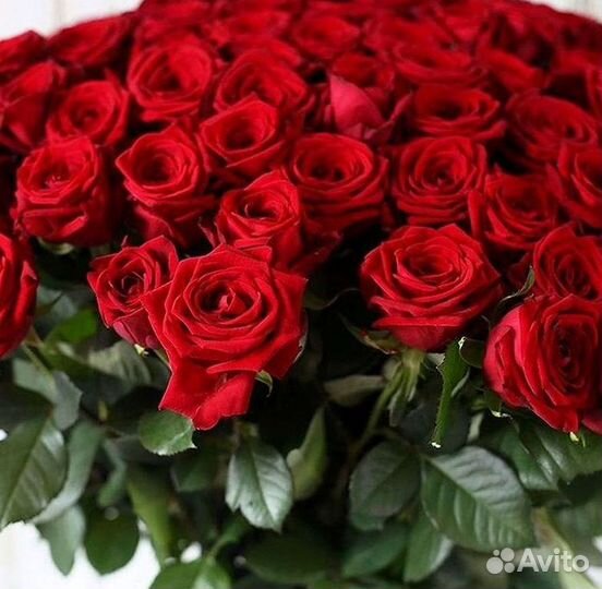 Букет роз 101 роза 51 роза