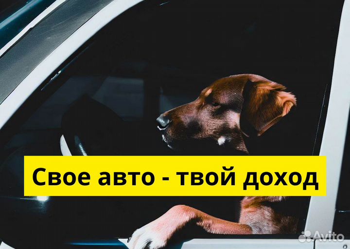 Работайте в Яндекс.Go на своем авто