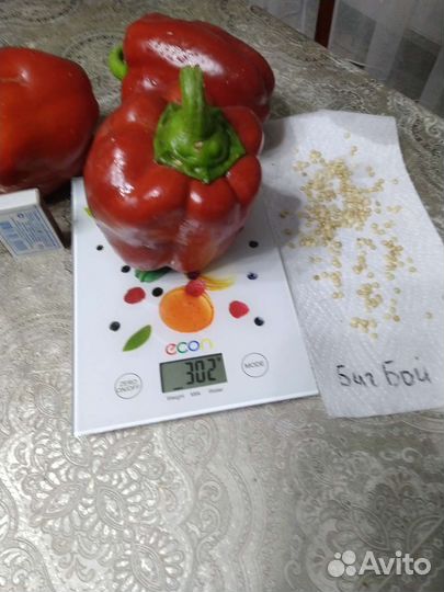 Рассада перцев