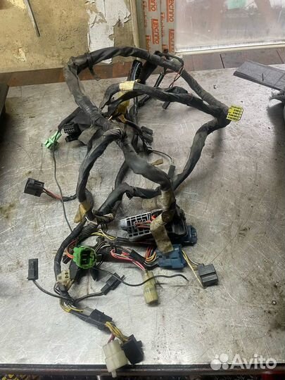 Коса проводки Suzuki SV400