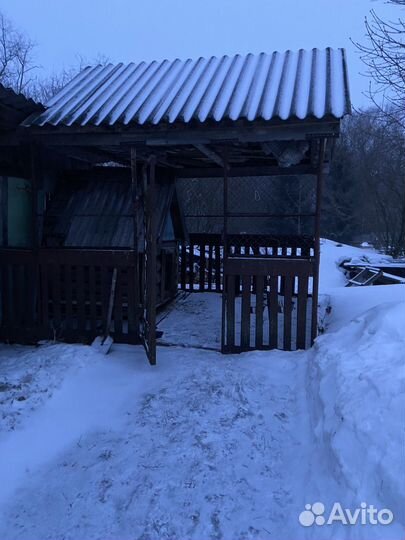 Лабрадор в добрые руки