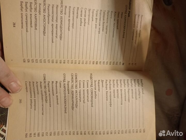 Книга школьный аквариум