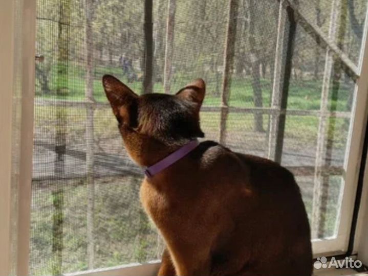 Сетка москитная с гарантией