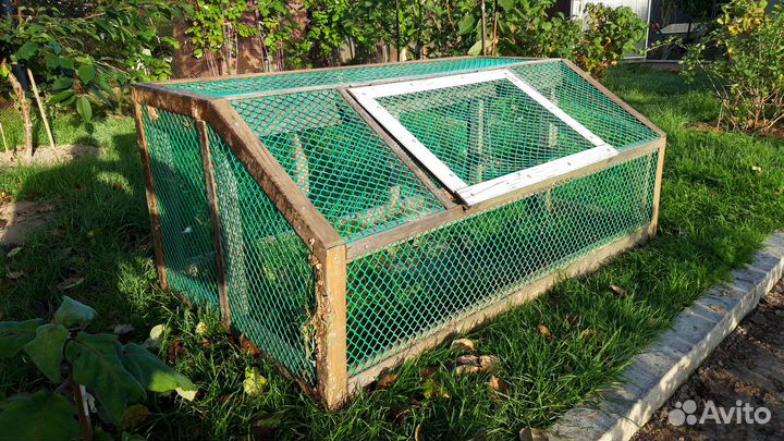 Летний выгул для кур