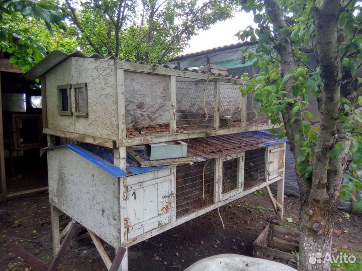 Клетка для кроликов