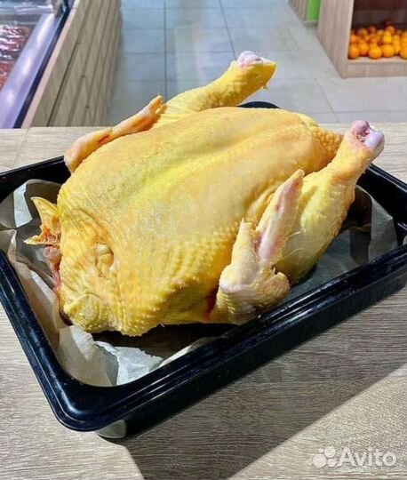 Куры халяль оптом