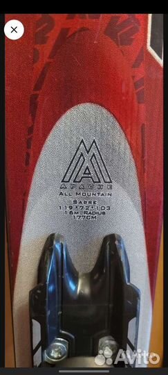 Горные лыжи