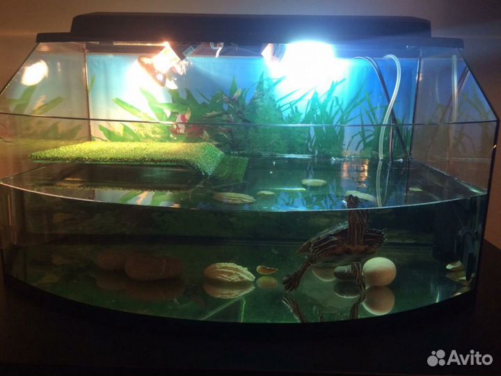 Террариум для черепахи