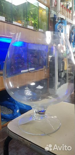 Аквариум круглый на 7 и 17л. Бокал на 5 и 7л