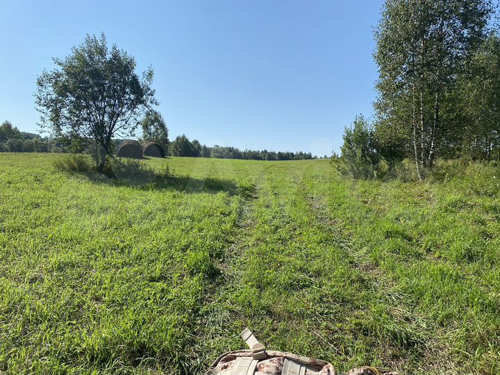 Участок 6 га (СНТ, ДНП)