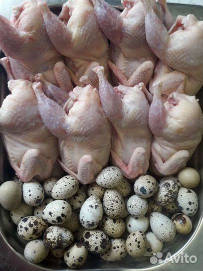 Мясо перепелов