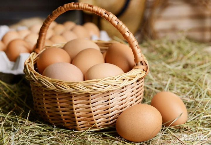 Домашние куриные яйца