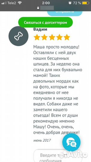 Передержка собак / Няня для собак