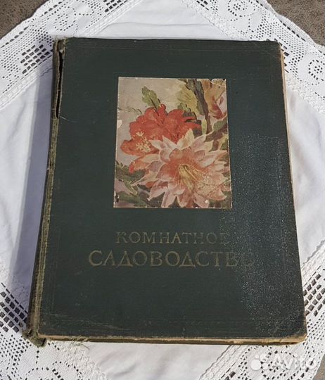 Комнатное садоводство, 1956