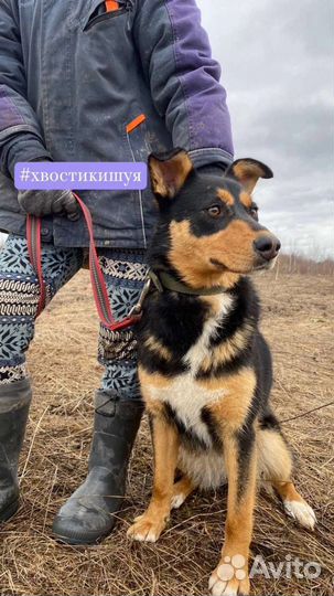 Клепа очень любит детей