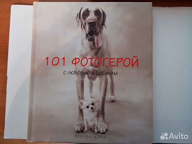 Рейчел Хейл 101 фотогерой / 101 котомодель