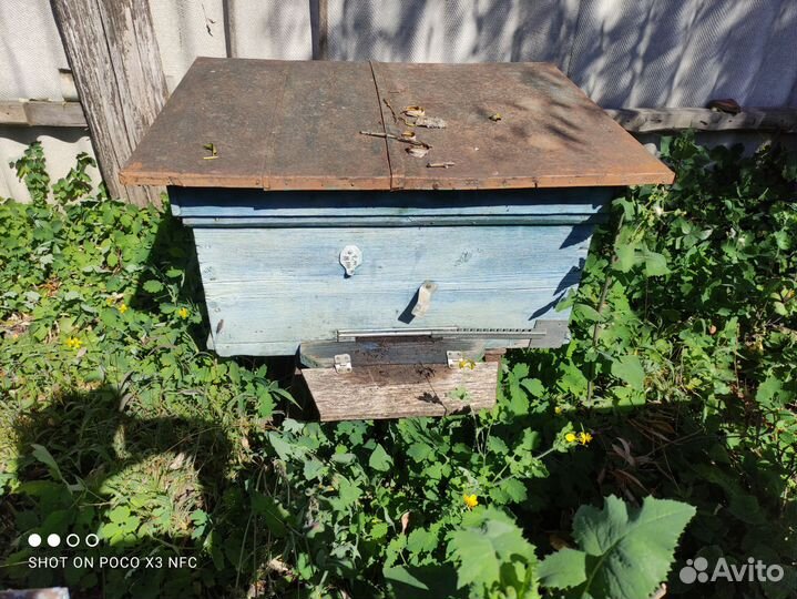 Продам ульи для пчел