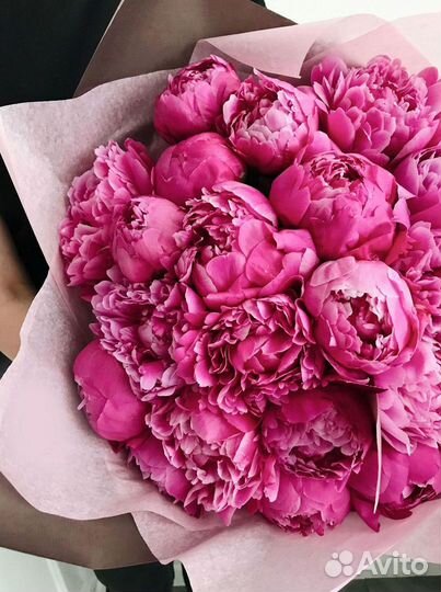 Пионы Букет пионов