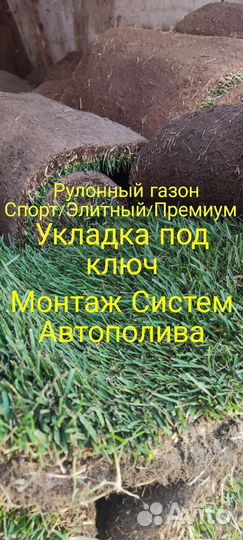 Рулонный газон под ключ/Полив