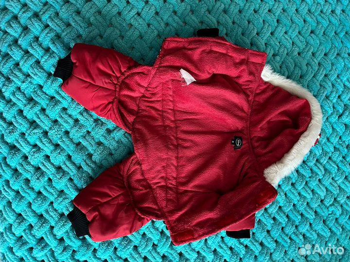 Комбинезон для маленьких собак