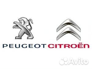 Цепь привода грм