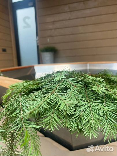 Для двоих - сауна и банный чан