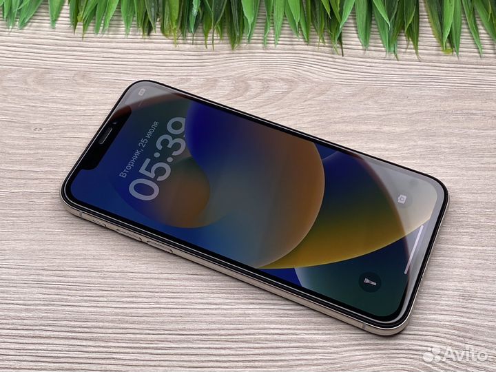 iPhone X, 64 ГБ