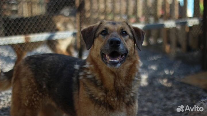 Девочка Самира