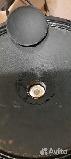 Низкочастотный динамик HK12819-1305