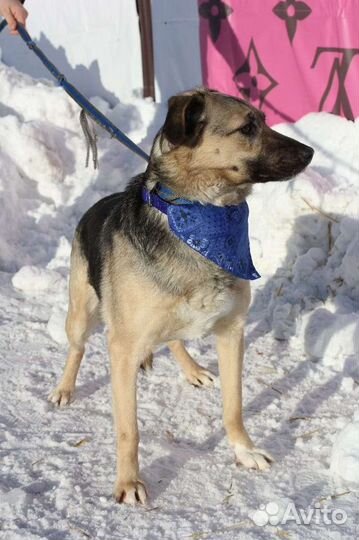 Октавия хочет домой