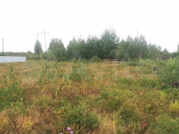 Участок 12,9 сот. (СНТ, ДНП)