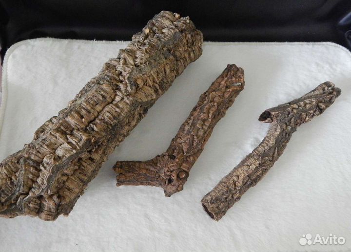 Кора пробкового дуба