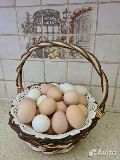 Мясо кролика, домашние яйца