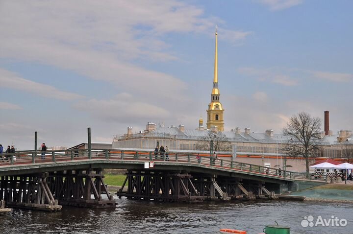 Зеркальная камера Nikon D3100 Kit