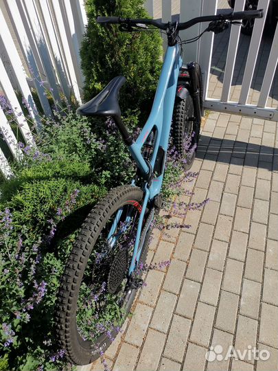 Specialized Stumpjumper Expert 29