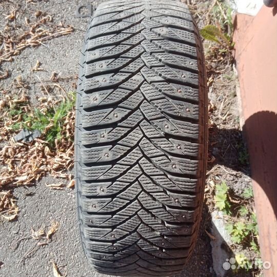 Triangle IceLink Trin PS01 215/55 R17 98T