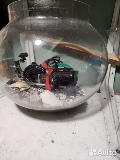 Аквариум бесплатно