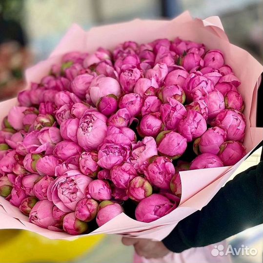 Пионы Букет