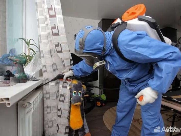 Обработка Клопы Тараканы Клещи Шершни Комары Осы